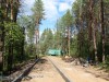 Парк Геологов. Продолжается обустройство новых пешеходных дорожек