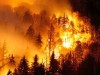 Нарушение правил пожарной безопасности в лесу – основная причина природных пожаров!