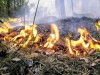 Введён особый противопожарный режим в целях недопущения ЧС
