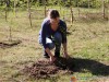 «Сад памяти». 50 деревьев высадили в Печоре в память о погибших в Великой Отечественной войне