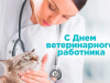 31 августа – День ветеринарного работника