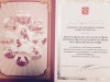 Деятельность Представительства Республики Коми отмечена благодарностью Комитета по внешним связям Санкт-Петербурга