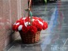 День памяти и скорби…