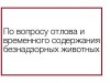 Отлов и содержание безнадзорных животных