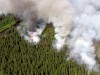 Ситуация с лесными пожарами – под контролем