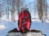 Уважаемые жители и гости муниципального района «Печора»!
