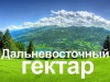 Программа по предоставлению дальневосточного гектара