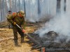 Объявлен набор граждан для тушения лесных пожаров