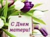 26 ноября – День матери