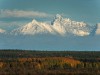 В Коми объявлен республиканский конкурс фотографий «Сезон фотоохоты на ООПТ»