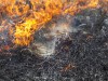 По прогнозу филиала ФГБУ Северное УГМС «Центр по гидрометеорологии и мониторингу окружающей среды Республики Коми»: по 6 июля в Печорском районе сохранится чрезвычайно высокая пожароопасность