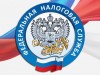 21 ноября – День работника налоговых органов России