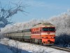 Уважаемые жители муниципального района «Печора»!