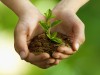 5 июня – День эколога, Всемирный день охраны окружающей среды