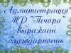 Благодарность за помощь, оказанную в проведении  детских новогодних утренников